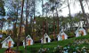 parboaboa