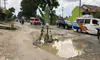 parboaboa