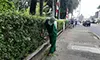 parboaboa