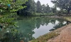 parboaboa