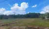 parboaboa