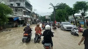 parboaboa