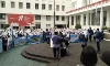 parboaboa