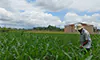 parboaboa