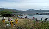 parboaboa