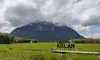 parboaboa