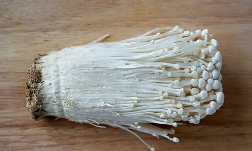 Jamur enoki