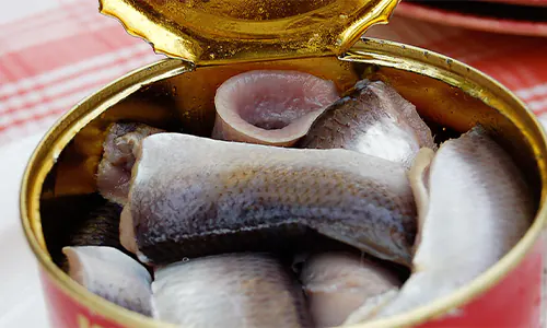 olahan ikan fermentasi