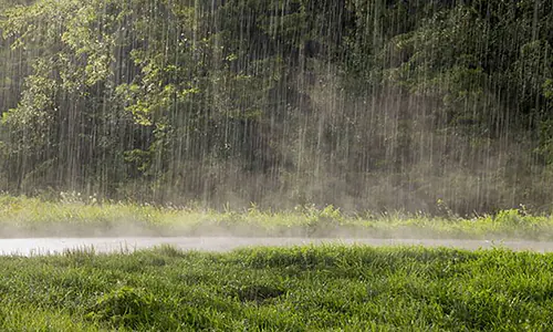 Curah Hujan Mematikan: Bencana Hidrometeorologi Basah yang Menghantui Negeri