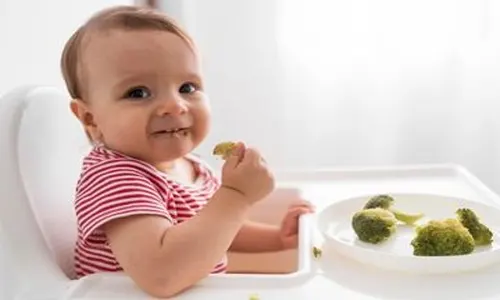 Baby Led Weaning