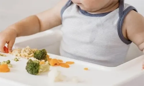 Baby Led Weaning