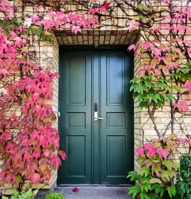 Model pintu rumah cantik