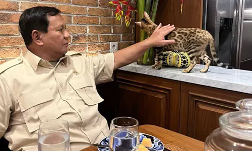 KTT Perdamaian: Paus Fransiskus dan Prabowo Dukung Gencatan Senjata di Gaza