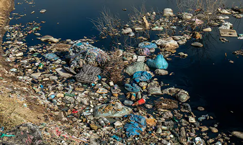 Indonesia Serius Tangani Sampah Laut: Aksi Nyata di Pantai Kuta