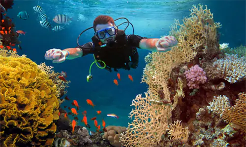 Snorkling