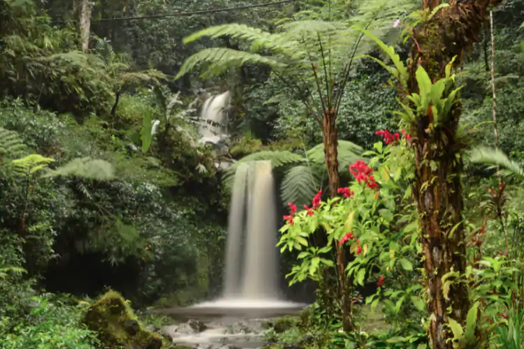 Wisata Banyumas